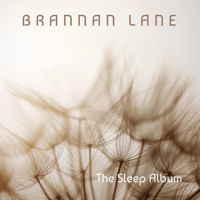 The Sleep Album Cover art